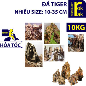 Đá Tiger bán sỉ (bao 10kg) nhiều size từ 10-35cm